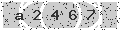 verify code